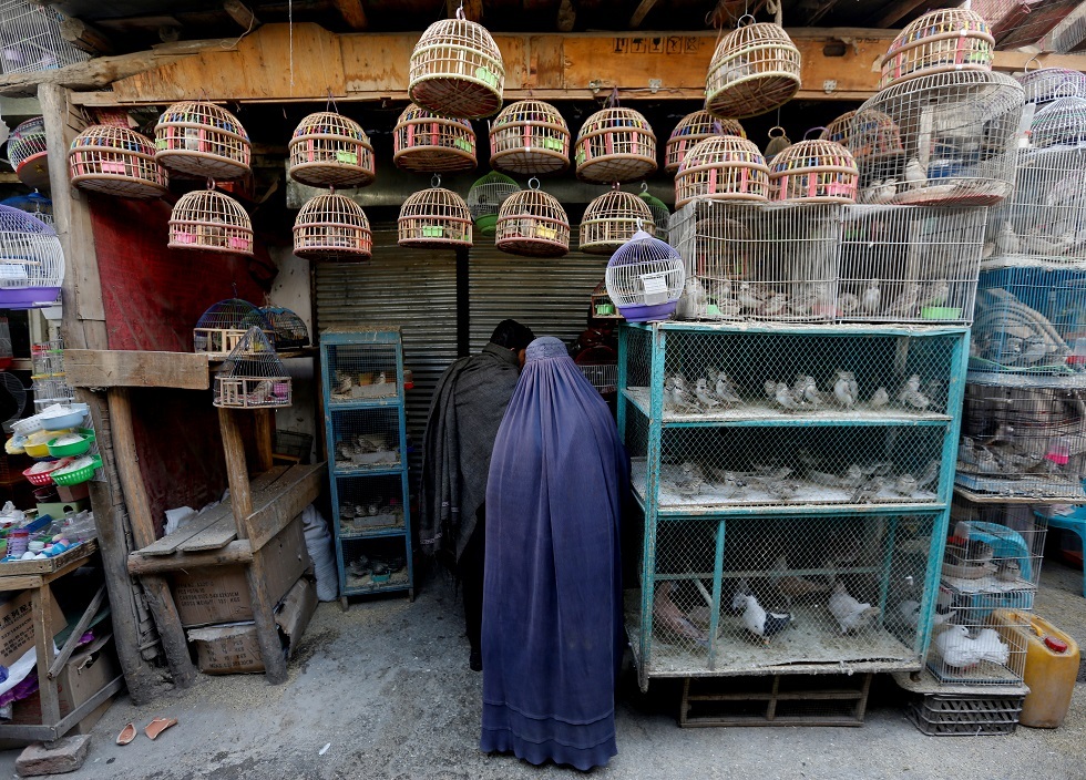 سوق الطيور في كابول