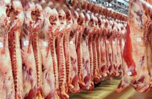 أسعار اللحوم في مصر 