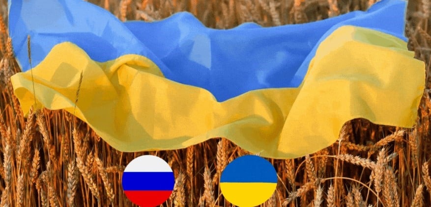 خطة أوكرانية لإعادة صادرات الحبوب للعالم