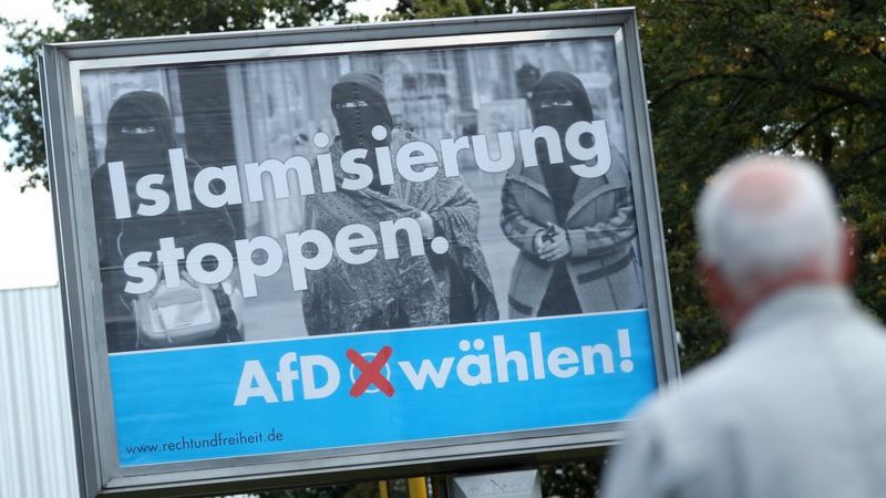 تصاعد شعبية حزب البديل من أجل ألمانيا المتطرف